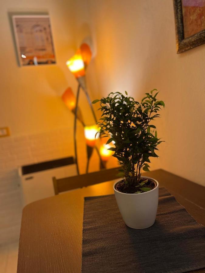 Romeo Apartment 리보르노 외부 사진